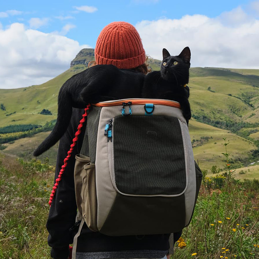Ventilated Cat Backpack Carrier with Comfortable Travel Design for Outdoor Adventures