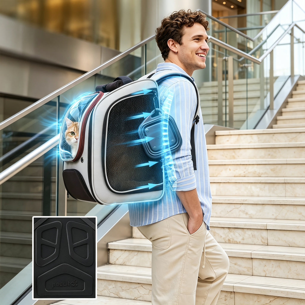 Large Space Dog Backpack Carrier with Transparent Window and Breathable Mesh