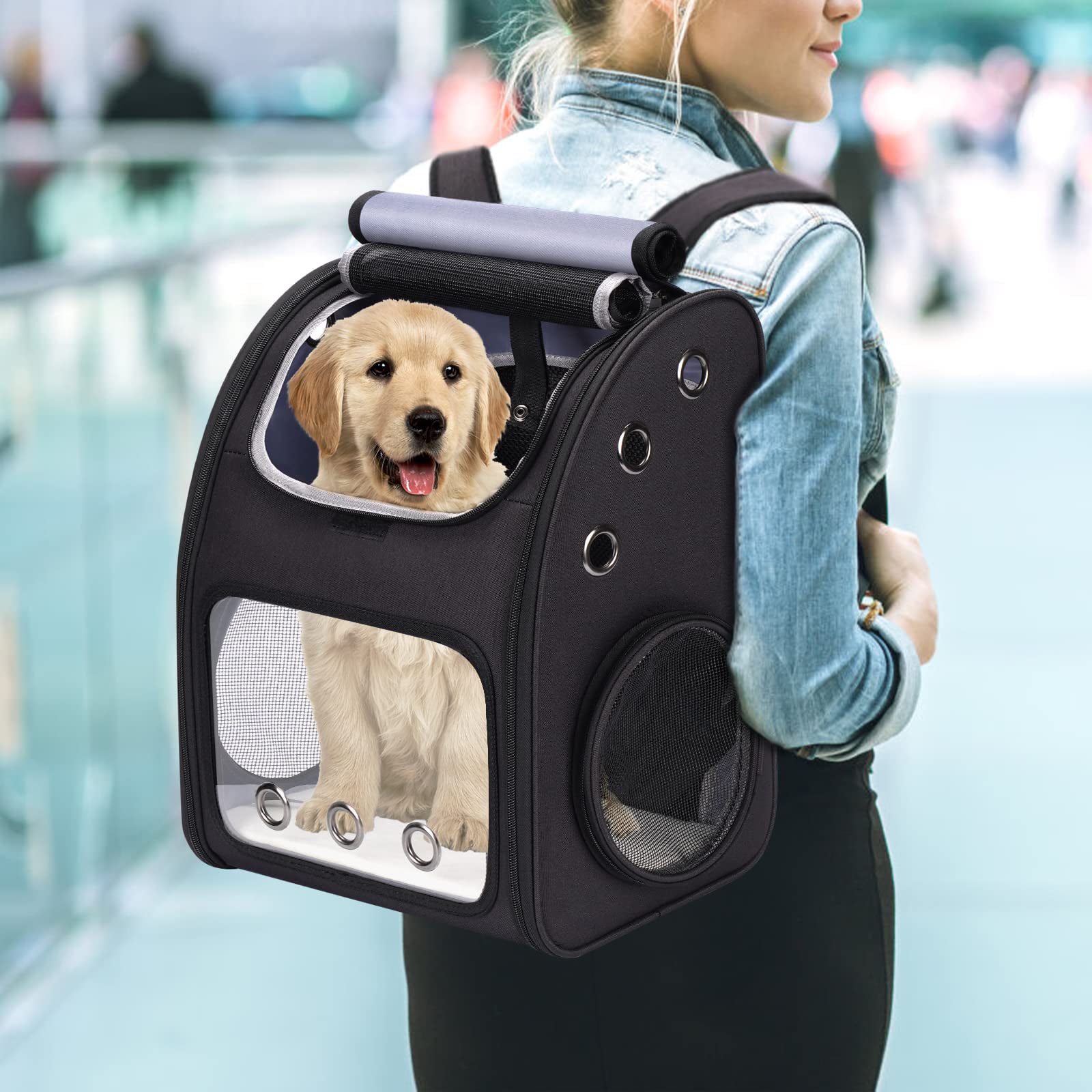 Expandable Cat Backpack Carrier with Large Space and Bubble Window for Travel
